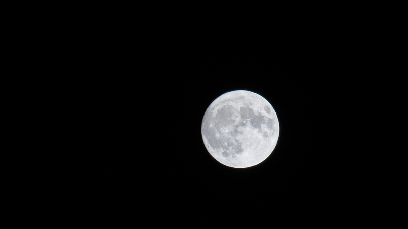Cropped image shot on just the Sigma